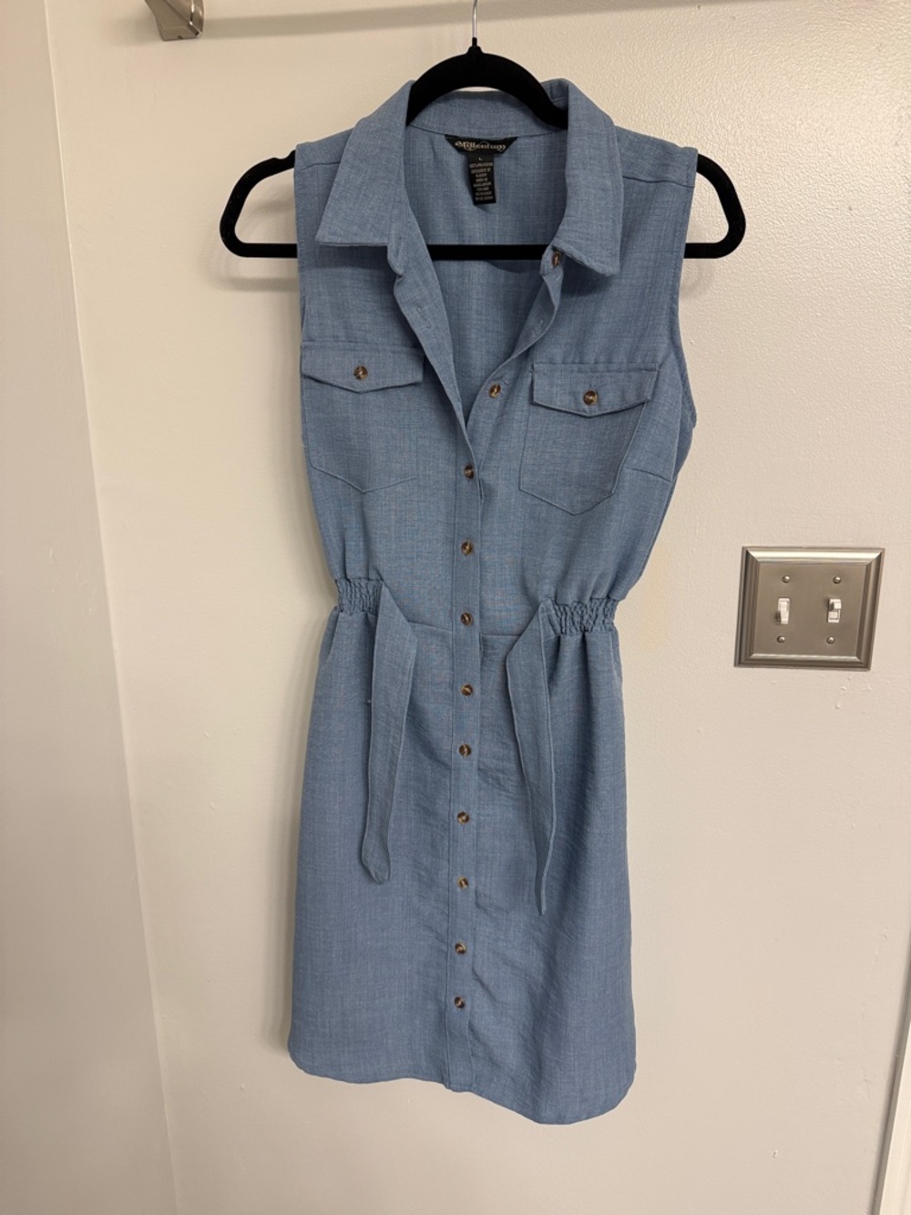 Light Blue Sleeveless Button-Front Shirt Dress